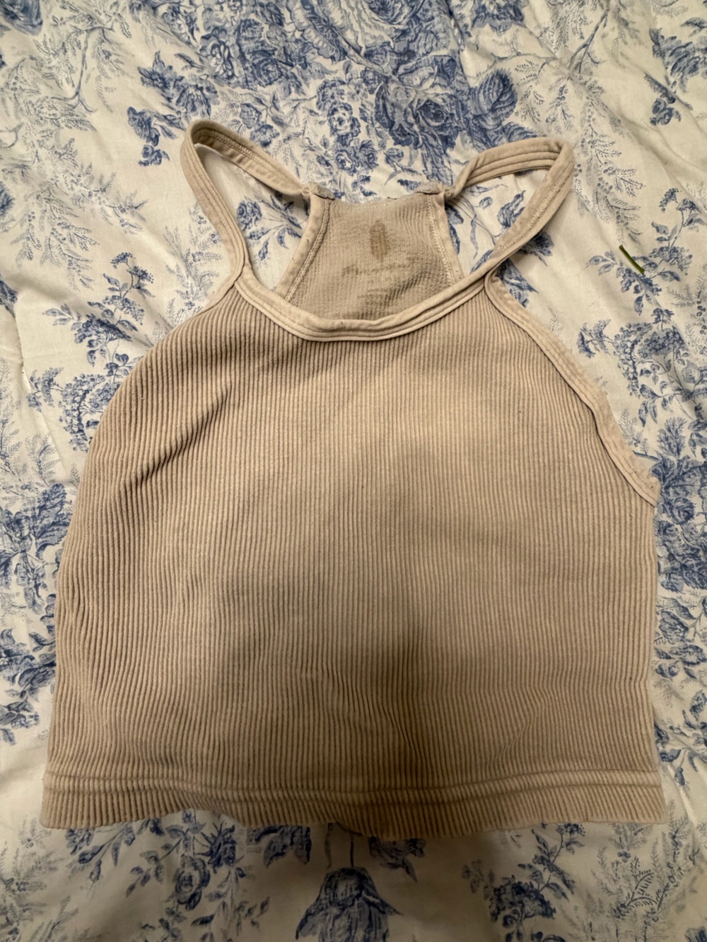 Free People Ribbed Halter Crop Top in Beige